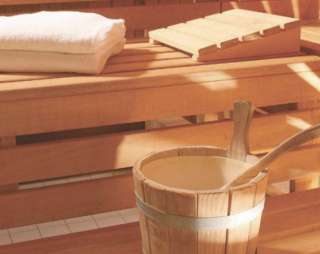 Сауна Физкультурно-оздоровительный комплекс, МГУ им. Н.П. Огарева в Саранске